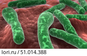 Microscopic view of Clostridium botulinum bacteria. Стоковое фото, фотограф Stocktrek Images, Inc. / ТАСС / Фотобанк Лори