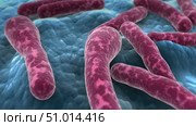 Microscopic view of Clostridium botulinum bacteria. Стоковое фото, фотограф Stocktrek Images, Inc. / ТАСС / Фотобанк Лори