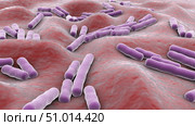Microscopic view of Clostridium perfringens bacteria inside human body. Стоковое фото, фотограф Stocktrek Images, Inc. / ТАСС / Фотобанк Лори