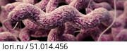3D illustration of the curlicue-shaped Campylobacter sp. bacteria. Стоковое фото, фотограф Stocktrek Images, Inc. / ТАСС / Фотобанк Лори