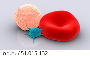 Conceptual image of platelet, red blood cell and white blood cell. Стоковое фото, фотограф Stocktrek Images, Inc. / ТАСС / Фотобанк Лори