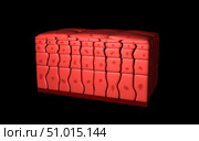 Conceptual image of stratified squamous epithelium. Стоковое фото, фотограф Stocktrek Images, Inc. / ТАСС / Фотобанк Лори