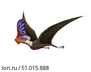 Tapejara, a genus of Brazilian pterosaur from the Cretaceous Period. Стоковое фото, фотограф Stocktrek Images, Inc. / ТАСС / Фотобанк Лори