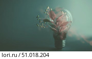 Innovative concept of sustainability with a light bulb and green leaves representing renewable energy and nature. Стоковое AI-видео, аниматор Сергей Толмачёв / Фотобанк Лори