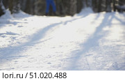 Cross-country skiers on the ski track in the park. Стоковое видео, видеограф Igor Skripachev / Фотобанк Лори
