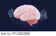 Human brain connected to digital network representing artificial intelligence and technology. Стоковое AI-изображение, AI-художник Катерина Бондарец / Фотобанк Лори