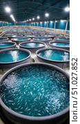 Fish farming in artificial tanks, maintaining optimal aquatic conditions. Стоковое AI-изображение, AI-художник Юрий Поздников / Фотобанк Лори