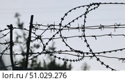 Barbed wire fence creating a boundary against a gray sky. Стоковое видео, видеограф Mikhail Davidovich / Фотобанк Лори