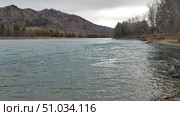 Бирюзовая Катунь, река поздней осенью, пейзаж, Республика Алтай. Turquoise Katun, river in late autumn, landscape, Altai Republic. Стоковое фото, фотограф Денис Баданин / Фотобанк Лори