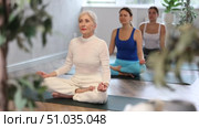 Positive elderly woman meditating in modern yoga studio, sitting in lotus position with hands on knees with fingers folded in mudra. Стоковое видео, видеограф Яков Филимонов / Фотобанк Лори
