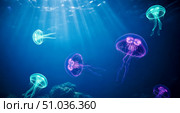 Marine life background showing glowing jellyfish swimming in deep blue ocean, underwater scene with beautiful luminous creatures and sunlight rays for nature or wildlife theme. Стоковое AI-изображение, AI-художник Павел Муравьев / Фотобанк Лори