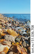 Serene riverside with fallen yellow leaves and smooth stones along the bank, washed by small waves. Calm, natural atmosphere. Suitable for themes of nature, seasons and tranquility. Стоковое видео, видеограф Елена Никишина / Фотобанк Лори