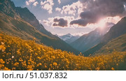 Vast field of yellow flowers stretches towards towering mountains in background under clear blue sky. Scene captures beauty of natures landscape. Стоковое AI-видео, аниматор Данила Большаков / Фотобанк Лори