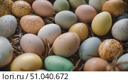 Group of eggs resting in bed of hay, showcasing the natural environment of these delicate objects. Стоковое AI-видео, аниматор Данила Большаков / Фотобанк Лори