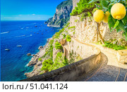 Capri island, Italy. Стоковое фото, фотограф Anastasy Yarmolovich / Фотобанк Лори