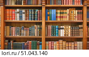 A bookshelf filled with a diverse collection of books of various genres and sizes. Стоковое AI-видео, аниматор Данила Большаков / Фотобанк Лори