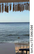 Beach cafe on sandy beach under straw umbrella, palm trees and beautiful sea on exotic tropical island. Стоковое видео, видеограф Zita Khasanova / Фотобанк Лори