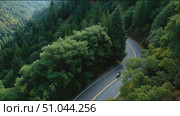 Scenic motorcycle ride through winding forest roads in a lush green landscape during daylight. Стоковое AI-видео, аниматор Сергей Толмачёв / Фотобанк Лори