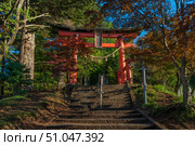 View of the torii gate of the Arakura Fuji Sengen Shinto Shrine on a sunny autumn day, Fujiyoshida, Yamanashi Prefecture, Japan. Стоковое фото, фотограф Ula Ulachka / Фотобанк Лори