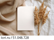 Blank greeting card, invitation mockup. Dry grass, pampas plant on beige table background. Flat lay, top view. Copyspace. Paper cards, mock up. Modern Minimal business brand template. Soft shadow. A6. Стоковое AI-изображение, AI-художник Марина Демидюк / Фотобанк Лори