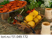 stuffed pike, boiled crayfish with soaked apples in a restaurant setting, delicacies. Стоковое фото, фотограф ~✿Eлена Челышева(Кочина)✿~ / Фотобанк Лори