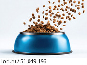 Blue steel pet bowl with small brown kibble food particles flying out of it isolated white background. Metal feline animal bowl full of dog food spilling into it. Dry cat feed floating in the air. Стоковое AI-изображение, AI-художник Марина Демидюк / Фотобанк Лори