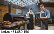 Chefs monitoring barbecue temperature and smoke in restaurant kitchen. Стоковое AI-видео, аниматор Юрий Поздников / Фотобанк Лори