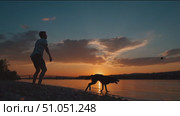 Sunset dog play by the river showcases joy and companionship in serene outdoor setting. Стоковое AI-видео, аниматор Сергей Толмачёв / Фотобанк Лори