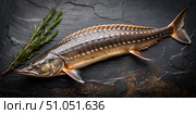 Fresh Whole Sturgeon on Black Slate With Rosemary Sprig. Generative AI. Стоковое AI-изображение, AI-художник Roman Zavorotny / Фотобанк Лори