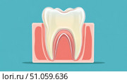 imaging sliced view of tooth scan ai generated. Стоковое AI-изображение, AI-художник Vectorwin / Фотобанк Лори