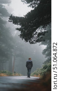 Walking alone through a misty forest trail on a quiet morning in the woods. Стоковое AI-видео, аниматор Сергей Толмачёв / Фотобанк Лори