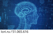 alpha disassembling brainwave scan ai generated. Стоковое AI-изображение, AI-художник Vectorwin / Фотобанк Лори