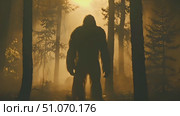 A large humanoid creature resembling bigfoot is seen standing in the middle of a dense forest, surrounded by trees and foliage. Стоковое AI-видео, аниматор Данила Большаков / Фотобанк Лори