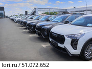 Cars For Sale Stock Lot Row. Car. Стоковое фото, фотограф Юрий Бизгаймер / Фотобанк Лори