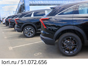 Cars For Sale Stock Lot Row. Стоковое фото, фотограф Юрий Бизгаймер / Фотобанк Лори