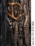 **Краткое описание:**Handmade rustic dreamcatcher crafted from driftwood, feathers, pine cones, and stones, hanging on a tree trunk in a natural forest setting. Стоковое фото, фотограф Happyphotons / Фотобанк Лори