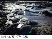 A mud volcano and a stream of grey clay from an eruption and gas escape. Cracked soil surface. Texture of a mudflow. Стоковое фото, фотограф Наталия Кирсанова / Фотобанк Лори