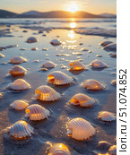 Seashells on wet beach sand reflecting warm golden sunset light at low tide. Стоковое AI-изображение, AI-художник Александра Рублева / Фотобанк Лори