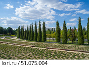 Парк ФК «Краснодар» (Парк Галицкого), Шалфей. Редакционное фото, фотограф Алексей Букреев / Фотобанк Лори