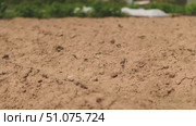 Tilled earth in rural backyard prepared for new season crops, capturing closeup of rich soil texture for eco farming, garden beds and organic vegetable cultivation. Стоковое видео, видеограф Енваев Андрей / Фотобанк Лори