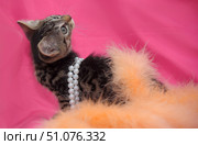 A cute tabby kitten poses against a bright pink background. He wears a white pearl necklace around his neck and part of his body is covered with a soft orange fluffy accessory, creating the effect of a glamorous photo shoot. The kitten looks up with a curious expression, his big eyes and alert ears emphasize the playfulness and charm of the moment. The contrast between the rich pink background, soft fur and the shine of the pearls gives the photo style and expressiveness. Стоковое фото, фотограф Анна Кривицкая / Фотобанк Лори