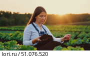 A woman inspects rich soil while surrounded by thriving crops at sunset. Стоковое AI-видео, аниматор Данила Большаков / Фотобанк Лори