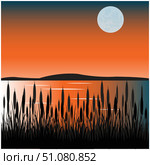 Bulrush on lake. Стоковая иллюстрация, иллюстратор Шипицин Евгений Витальевич / Фотобанк Лори