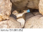 Magnificent rocks of the Arakul shikhan in the Chelyabinsk region on a summer day. Стоковое фото, фотограф Акиньшин Владимир / Фотобанк Лори