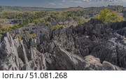 Panoramic mountain landscape. Incredible sheer karst cliffs with sharp peaks stretch to the horizon. Green vegetation in the valley. Blue sky, clouds. Madagascar. Tsingy De Bemaraha. Стоковое фото, фотограф Вера Ивановна Кубарева / Фотобанк Лори