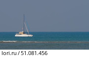 Sailing boat catamaran in the blue sea. Стоковое видео, видеограф Игорь Жоров / Фотобанк Лори