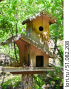 Wooden birdhouse with decorative roof stands in a green forest in Shkotovo, Primorsky Krai, Russian Far East, with pine cones and seeds on the tray. Стоковое фото, фотограф Татьяна Терехина / Фотобанк Лори