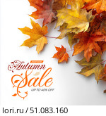 Maple Leaf Autumn Sale. Стоковое AI-изображение, AI-художник Павлов Максим / Фотобанк Лори