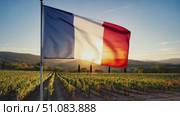 French flag waving in a vineyard at sunset. The scene captures the essence of Bastille Day with vibrant colors and a picturesque landscape. Стоковое AI-видео, аниматор Nart / Фотобанк Лори