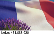 French flag waving gently in the breeze, surrounded by blooming lavender flowers. A clear blue sky enhances the vibrant colors of the flag. Стоковое AI-видео, аниматор Nart / Фотобанк Лори